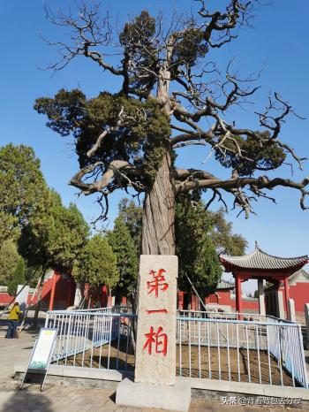 山东省内十大著名景区，去过七处，才算真正游过山东  -图1