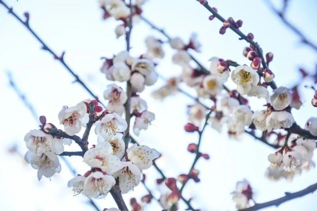 告别班味儿，从迈入春天的泸沽湖开始  -图21