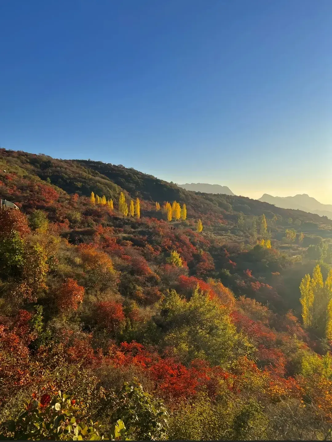 河南最值得去的十大景点，特别推荐！  -图6