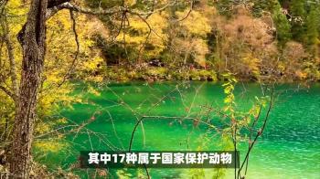 四川九寨沟风景区概述  -图3