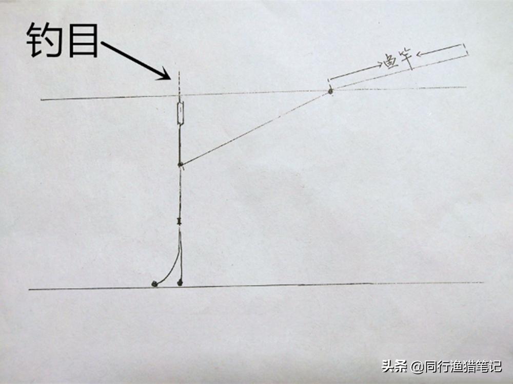 带饵调漂的正确方法  -图3