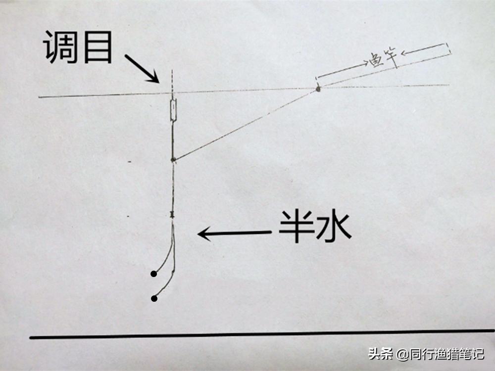 带饵调漂的正确方法  -图2