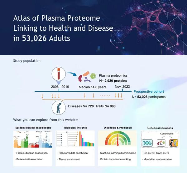 Cell发文！上海科学家绘制人类健康与疾病蛋白质组图谱  -图2