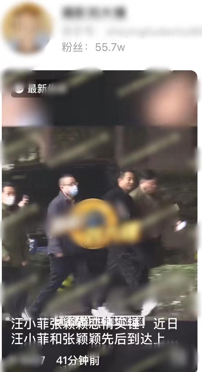 汪小菲张颖颖恋情实锤？深夜醉酒不忘十指紧扣，女方待客如老板娘  -图1