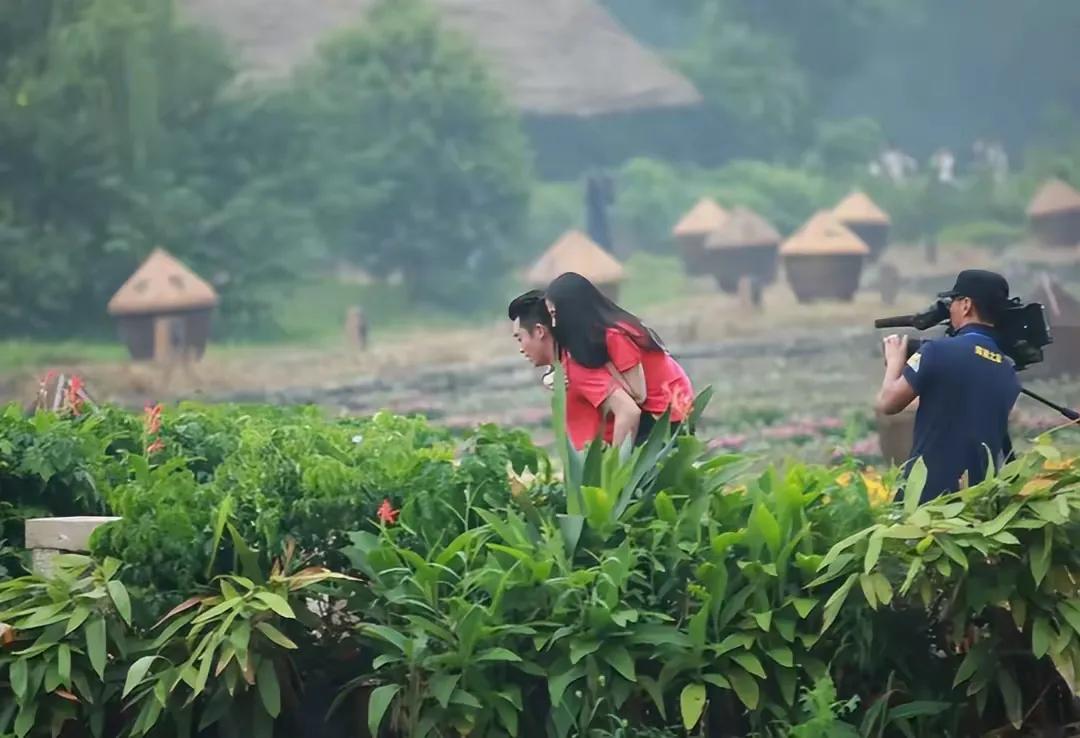 王中磊的一句话，戳穿了苗苗的真实婚姻，难怪郑恺连装都懒得装  -图12